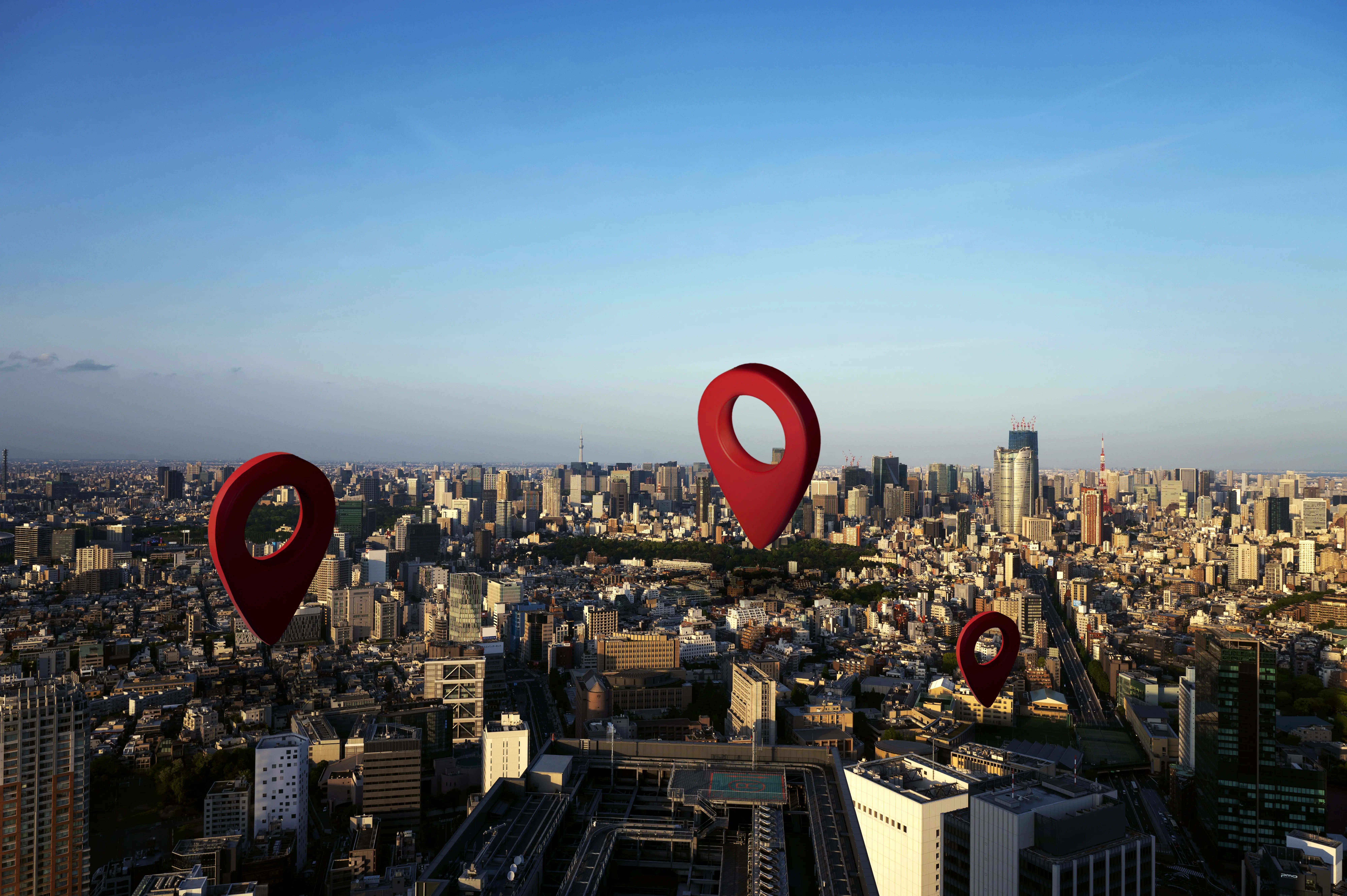 seo local leads